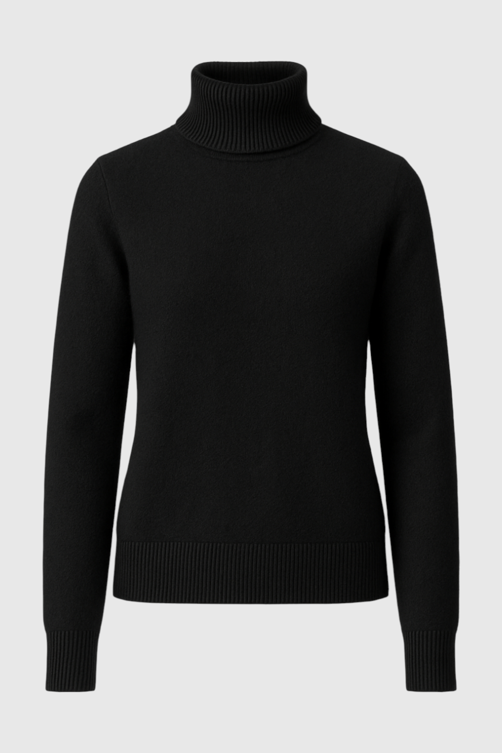 Luna | Fleece Lined Turtleneck Sweater - ginlerie 0