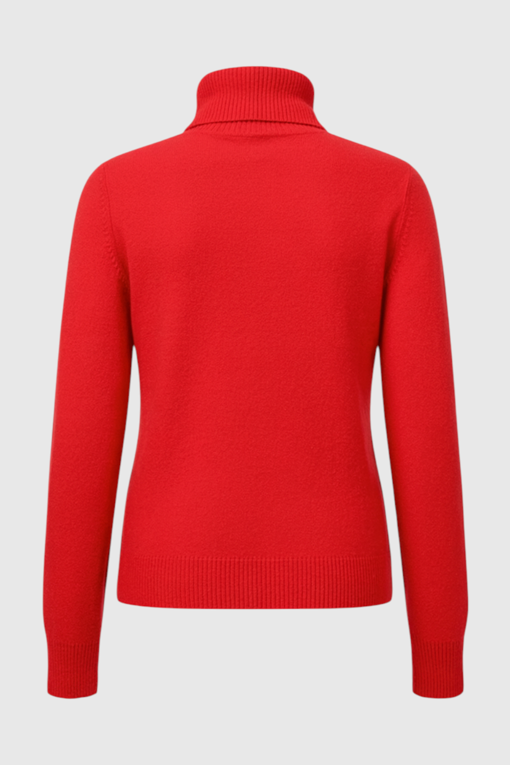Luna | Fleece Lined Turtleneck Sweater - ginlerie 3