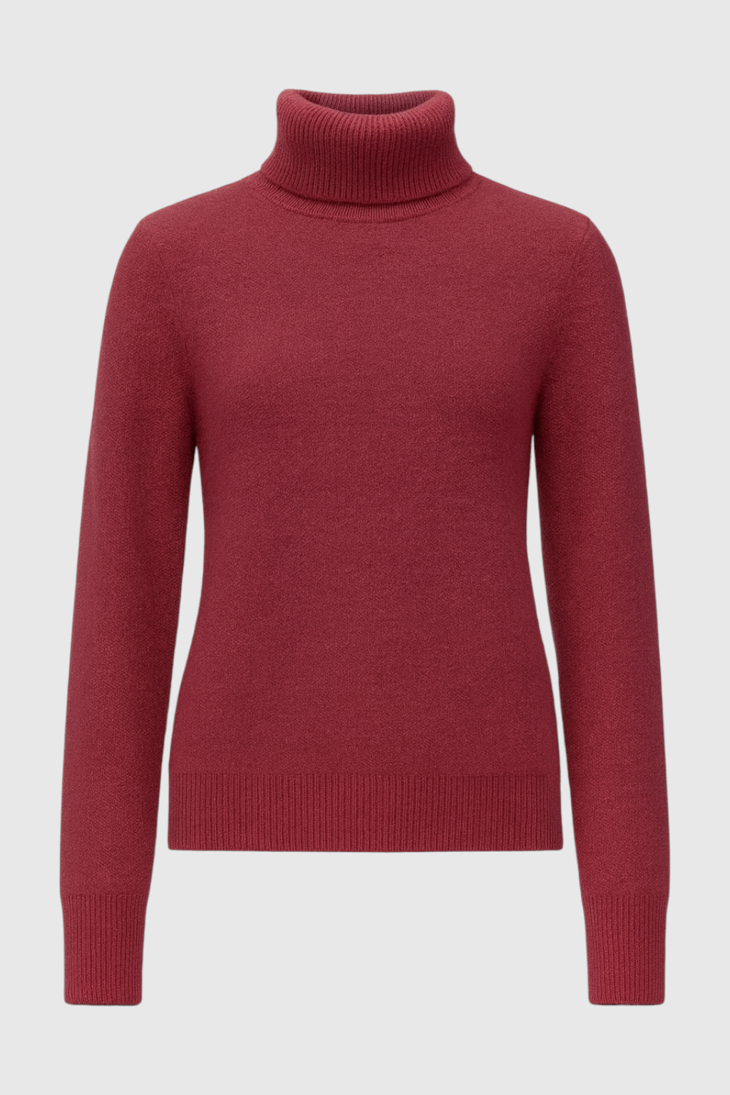 Clara | Fleece Lined Turtleneck Sweater - ginlerie 0