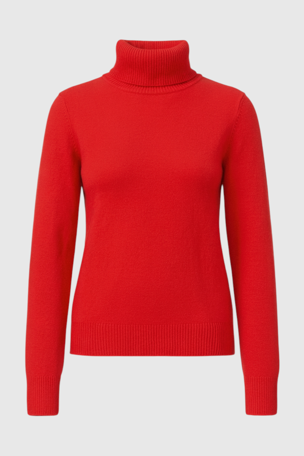 Luna | Fleece Lined Turtleneck Sweater - ginlerie 0